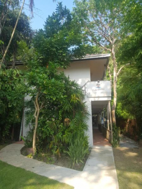 Palm Garden